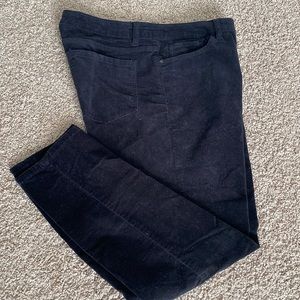 Libby Edelman stretch, velour pants